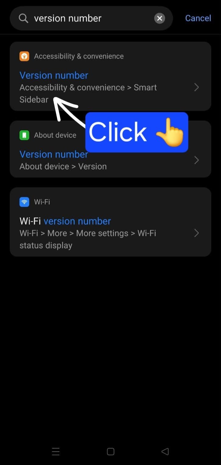Version Search Result